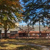  at Earthly Pleasures Cafe in Belgrave