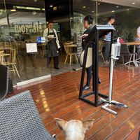Nice  at Giornale Cafe Palmas in Mexico City