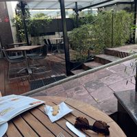 Pet friendly   at Giornale Cafe Palmas in Mexico City