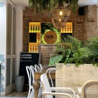 Interior at Tasty Poke Bar in Valencia