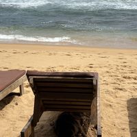   at Amaroo Beach Bar in Hikkaduwa