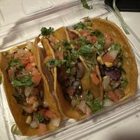   at Talkin' Tacos in Orlando