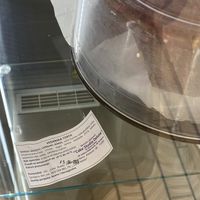 vegan cake in the fridge at Brunch Sa in Sarajevo