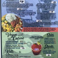 The menu has vegan options that are clearly listed in a separate section of the menu. Some of the other dishes can be made vegan (altered) based on the request.  at Pura Vida in Isabela