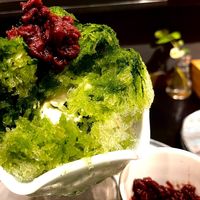  at anthrop. in Tokyo