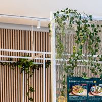  at råbowls - Rathaus in Hamburg