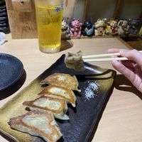   at Gyoza Bar Keisuke -  けいすけ in Tokyo