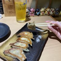   at Gyoza Bar Keisuke -  けいすけ in Tokyo