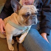 Employee of the year! at Fredgie's  in Dwingeloo