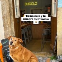  at Choclo Ceviche Restaurant in Lisbon