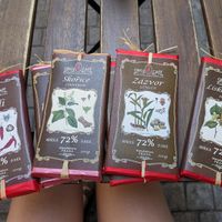 Vegan chocolate bars! at Choco Cafe in Prague