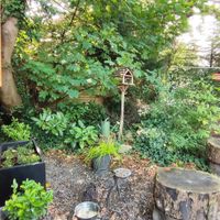  at Mugg Uggly in Dublin