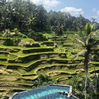 The view  at D'Tukad Coffee Club Bali in Gianyar