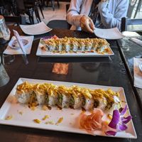 Beautiful and tasty! at Oyuki Sushi in Santa Cruz