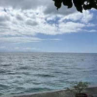 The view from sitting outside😍  at Next Level Cafe in Penida Island