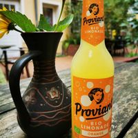 Bio Limo at Madia in Potsdam