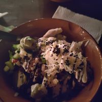 Falafel with the salad in a bowl with pita on the side (not in picture) food was way better than the picture shows at Falafel el Loco in Mazunte