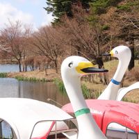  at AIN SOPH.Ripple Tateshina(Nagano) in Chino