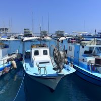   at FRESHA in Limassol