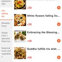 You can translate the menu onlinee  at Su Ren - Veg Inn in Shanghai