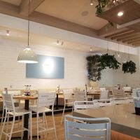Summer House restaurant interior at MCO - Summer House Santa Monica - TC in Orlando