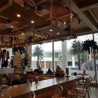 Summer House restaurant interior at MCO - Summer House Santa Monica - TC in Orlando