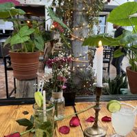 Adorbs  at Colibrí in San Carlos