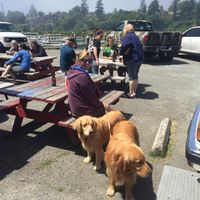 beautiful outdoor seating along the Chetco River at Zola's Pizzeria in Brookings