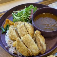 Vegan cutlet curry set  at NRT - T's Tantan - T2 in Narita