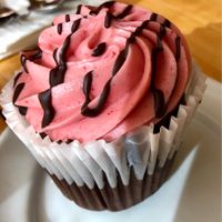 Chocolate Raspberry Cupcake  at Great Sage in Clarksville