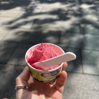   at Sächsische Eismanufaktur in Dresden