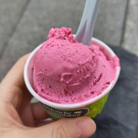 Eine Kugel Waldbeersorbet im Becher at Sächsische Eismanufaktur in Dresden