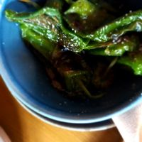  at The Oxford Blue in Oxford