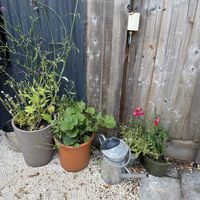   at The Oxford Blue in Oxford