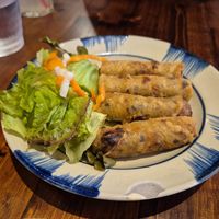 Vegan spring rolls at AOBABA Himeji in Himeji