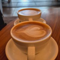 Oat milk lattes at Stumptown Coffee Roasters - Ace Hotel in Kyoto