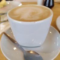 Latte (February 2026) at Newmans Garden Centre in Ceredigion