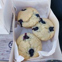  at Faial Veg in Horta