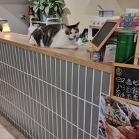  at JiuSuo Plant-based Eatery - 玖所 in Kaohsiung