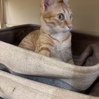   at JiuSuo Plant-based Eatery - 玖所 in Kaohsiung