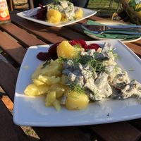 Zucchini ala „Heringsstip“  at Vegane Bergpension in Schulenberg