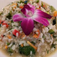 Primavera Risotto at Sofia's in New York City
