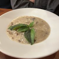   at Sofia's in New York City