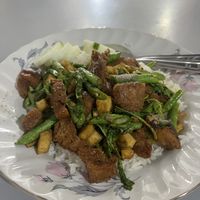 Hot basil   at Thai Food Vegetarian or Vegan - Maybe closed in Surat Thani