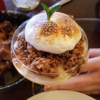  at Tree House in St Louis