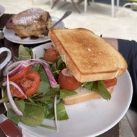 Sandwich   at Tree House in St Louis