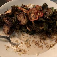 Wild mushroom raviol  at Tree House in St Louis