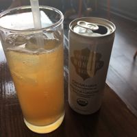 kombucha at Tree House in St Louis