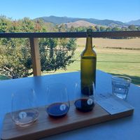Wine testing & view at Ringer Reef Winery in Porepunkah