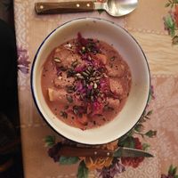 Enchiladas at Antojitos Mexican Curious in Cazorla